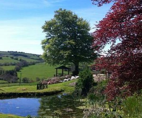 Self catering cottages in Exmoor